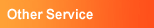 Other Service